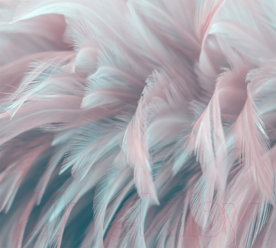 Фотообои листовые Vimala 3D перья (270x300)