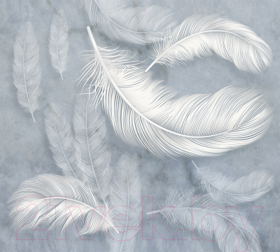 Фотообои листовые Vimala Белые перья (270x300)