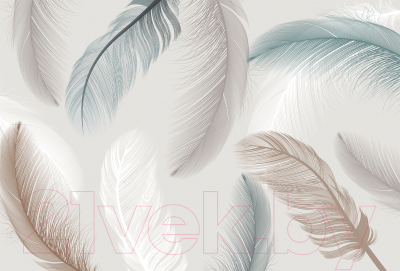 Фотообои листовые Vimala Нежные перья (270x400)