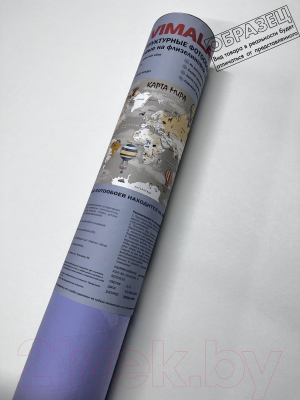 Фотообои листовые Vimala Карта мира белая (270x400)