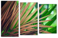 

Картина модульная Citydecor, 16.44