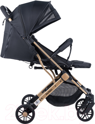Детская прогулочная коляска Farfello Comfy Go / CG (черный/золото)