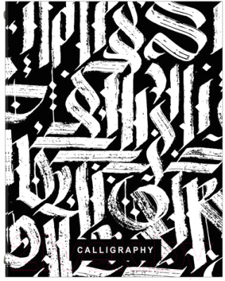 Тетрадь Brauberg Calligraphy / 404097 (240л)