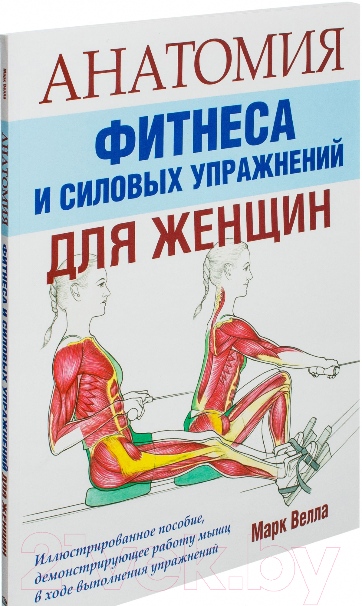 Книга Попурри Анатомия фитнеса и силовых упражнений для женщин