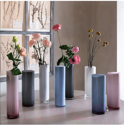 Ваза Andrea Fontebasso Glass Design Wetube / GD5VB472313 (26см, розовый)