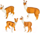 Набор фигурок коллекционных Masai Mara Мир диких животных. Семья лам / MM211-213 - 