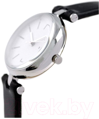 Часы наручные женские Skagen SKW2639
