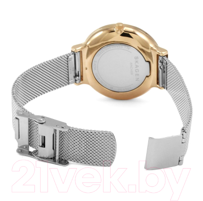 Часы наручные женские Skagen SKW2616