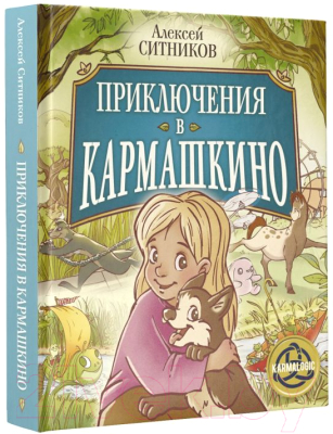Книга АСТ Приключения в Кармашкино (Ситников А.П.)