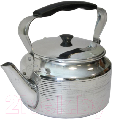 Изображение товара Чайник Эрг-Ал Полированный (2л)