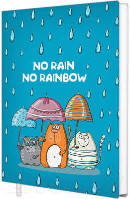 Записная книжка Полином No Rain No Rainbow / 3164 (96л)