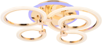 

Потолочный светильник Rilon Lighting, 3009/5 FGD+RGB
