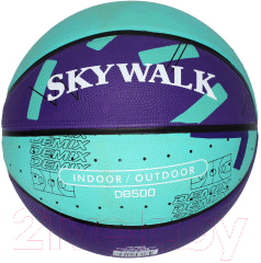 Баскетбольный мяч Demix LT4B7VY0F2 / 114488-F1 (размер 7)