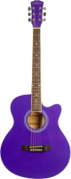 Акустическая гитара Elitaro E4010 VTS (фиолетовый) - 