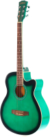 Акустическая гитара Elitaro E4010 GR (зелёный) - 