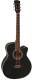 Акустическая гитара Elitaro E4020 BK (черный) - 