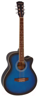 Акустическая гитара Elitaro E4020 BLS (синий)