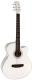 Акустическая гитара Elitaro E4020 WH (белый) - 