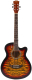 Акустическая гитара Elitaro E4030 Tiger (тигровый) - 
