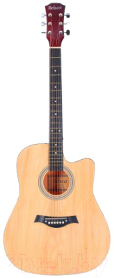 Акустическая гитара Elitaro E4110 N (натуральный)