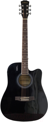 Акустическая гитара Elitaro E4110 BK (черный)