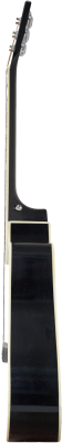 Акустическая гитара Elitaro E4110 BK (черный)