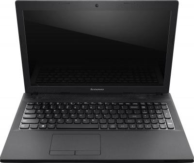 Ноутбук Lenovo IdeaPad G505 (59376401) - общий вид