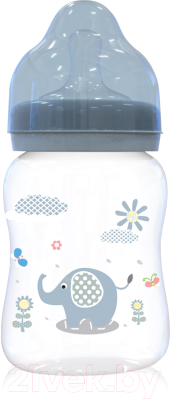 Бутылочка для кормления Lorelli 1020071 (250мл, голубой)