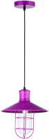 

Потолочный светильник Sfera Sveta, Loft 044P PU