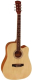 Акустическая гитара Elitaro E4120 N (натуральный) - 