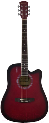 Акустическая гитара Elitaro E4120 RDS (красный)