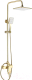 Душевая система REA Hass Matt Gold REA-B9972 - 