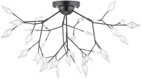 

Люстра Newrgy, Lighting Veneto Luce 9917/36 BK