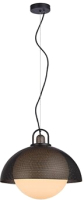 

Потолочный светильник Newrgy, Lighting Veneto Luce 9141AP/1 BK