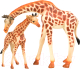 Набор фигурок коллекционных Masai Mara Мир диких животных. Семья жирафов / MM211-292 - 