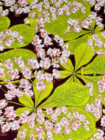 

Скатерть Atmosfera Home, Каштан ПК-145x200