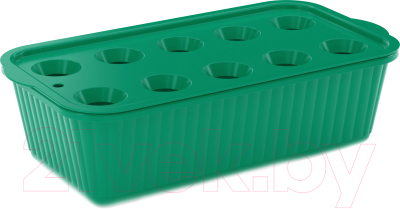 Ящик для рассады Альтернатива Для зеленого лука / М6715 (зеленый)