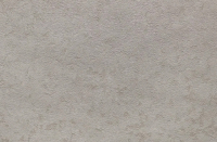 

Флизелиновые обои Elysium, Сильвер Е89002