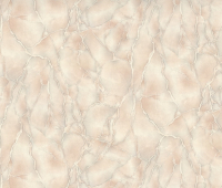 

Виниловые обои Палитра, 71729-24 FM