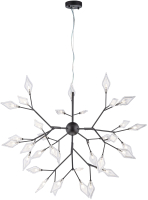 

Люстра Newrgy, Lighting Veneto Luce 9918/36 BK
