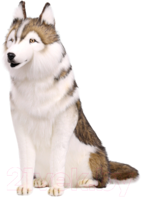 Изображение товара Мягкая игрушка Hansa Сreation Хаски / 7451 (78см)