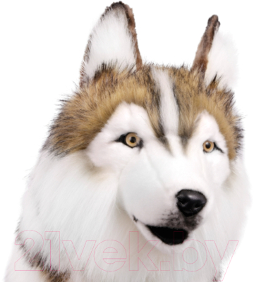 Изображение товара Мягкая игрушка Hansa Сreation Хаски / 7451 (78см)