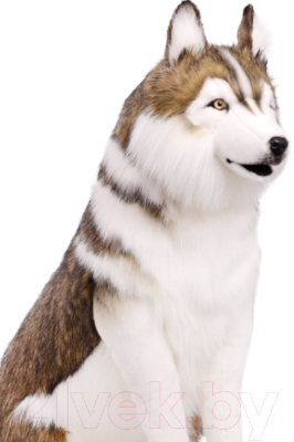 Изображение товара Мягкая игрушка Hansa Сreation Хаски / 7451 (78см)