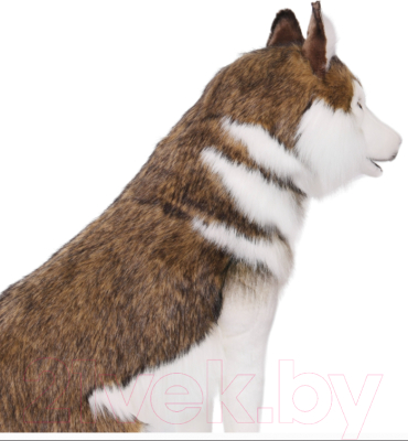 Изображение товара Мягкая игрушка Hansa Сreation Хаски / 7451 (78см)