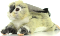 Мягкая игрушка Hansa Сreation Кролик вислоухий серый / 6522 (40см) - 