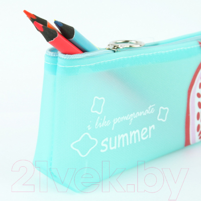 Изображение товара Пенал Darvish Фрукты / DV-13259