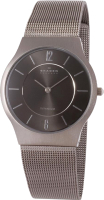 

Часы наручные мужские Skagen, 233LTTM