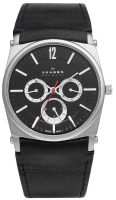

Часы наручные мужские Skagen, 759LSLB1