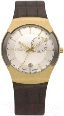 Часы наручные мужские Skagen 983XLGLD