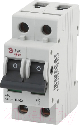 Выключатель нагрузки ЭРА Pro NO-902-88 ВН-32 2P 63A / Б0031716